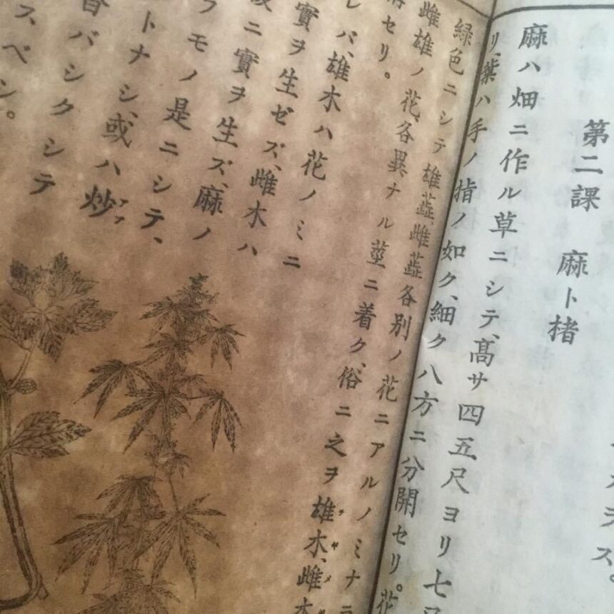 教科書の大麻